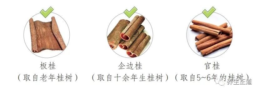 每天认识一味中药——肉桂