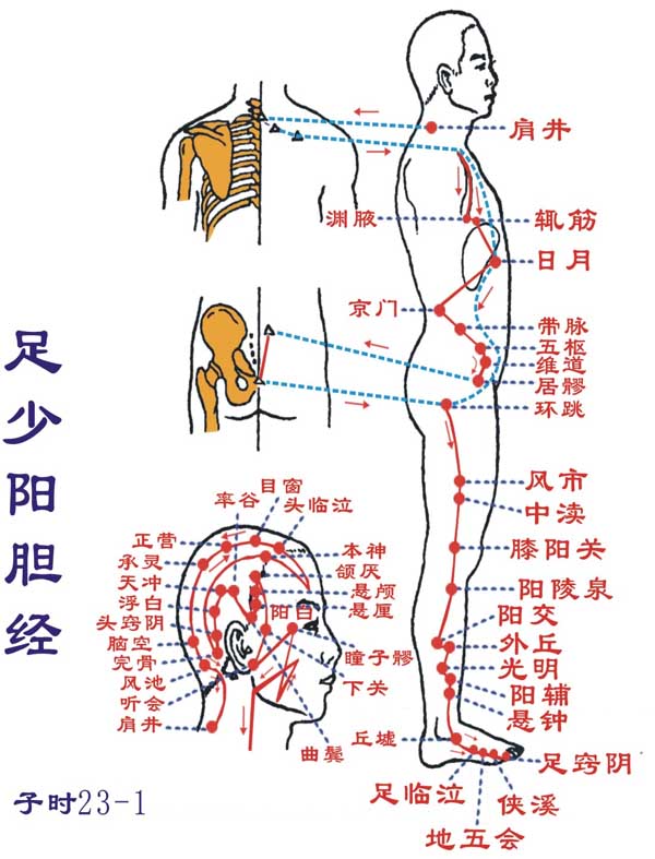 陈玉琴人体十二经络养生法—图文并茂,值得收藏