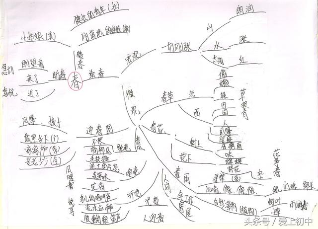 朱自清春思维导图初一学生绘制