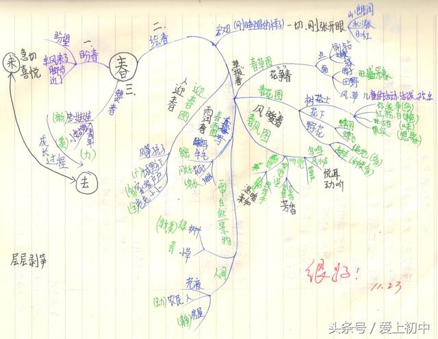 朱自清《春》思维导图(初一学生绘制)