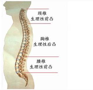 颈椎腰椎病诊断金子要诀绝对精辟