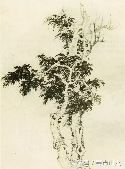 山水画如何画树这里有详细解析