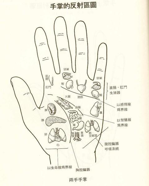 附图四:手的人体全息示意图(1)附图五:手的人体全息示意图(2)附图六