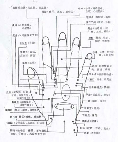 谁有手部反射区的图片