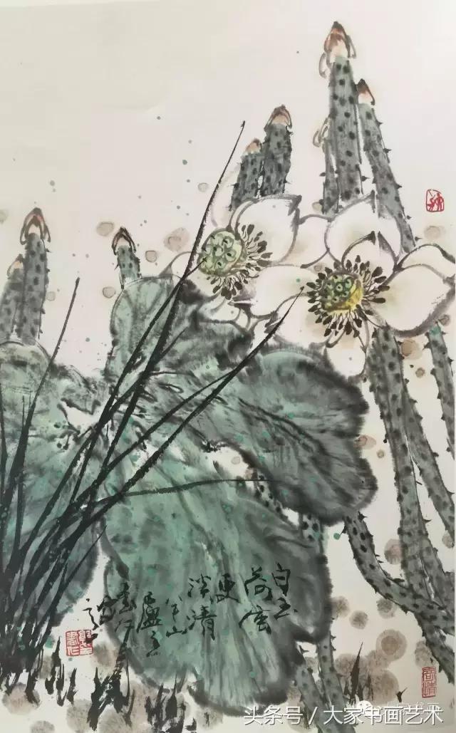 郭书仁教授讲荷花