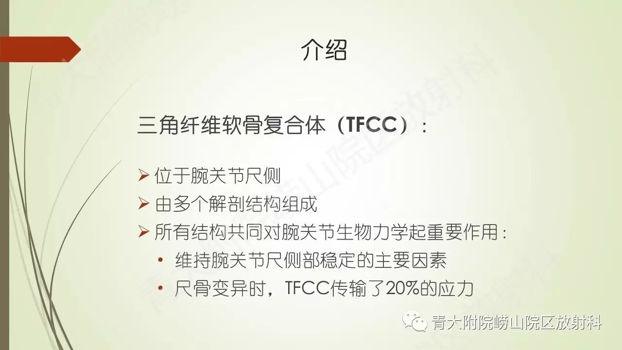 解剖学系列讲座六三角纤维软骨复合体