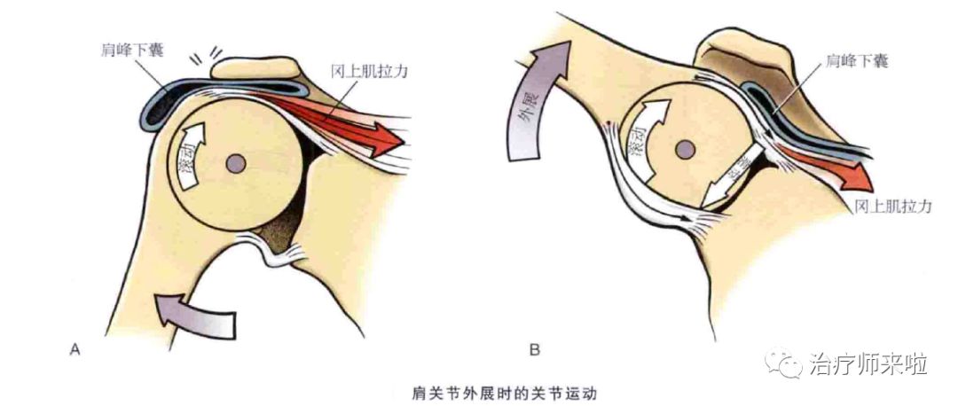 耿素萍 上海市第一康复医院一基本定义凹凸定律为关节松动术的基础