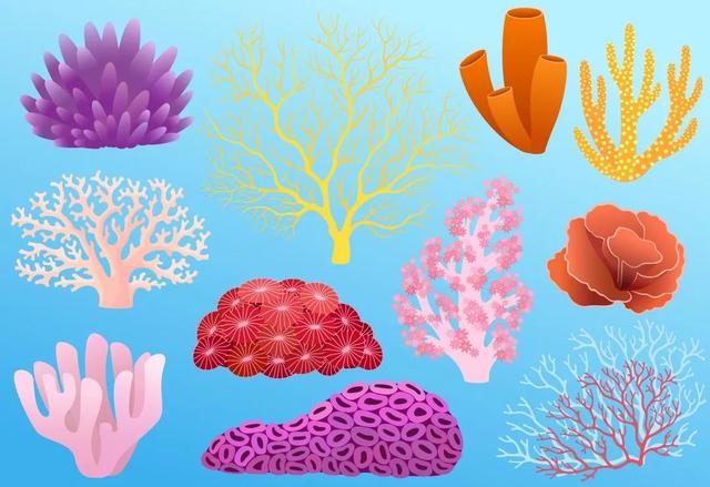 珊瑚种类繁多,形如树枝,鹿角,手指,管道,大脑,蘑菇,等等,多以形态来