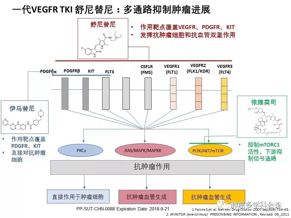 从机制看多靶点抗血管生成药物的疗效和不良反应管理