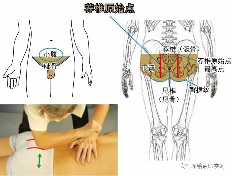 原始点各部位及其涵盖范围示意图78疾病处理图78医疗与保健图78