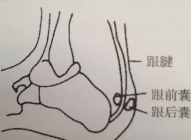 患肢伸直,医生一手虎口对着髌骨上方,手掌压在髌上囊,使液体流入