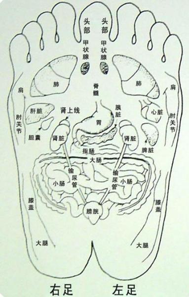 人体脚部穴位图人体足部高清穴位示意图解