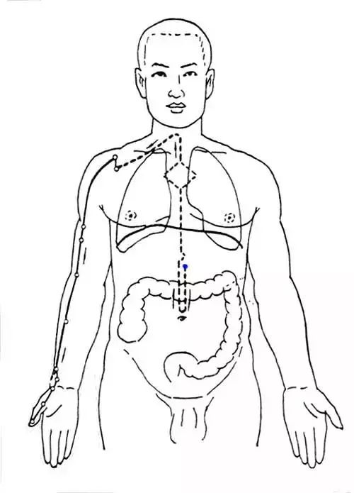 手足三阴三阳经图解