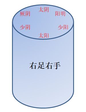 手足三阴三阳经图解