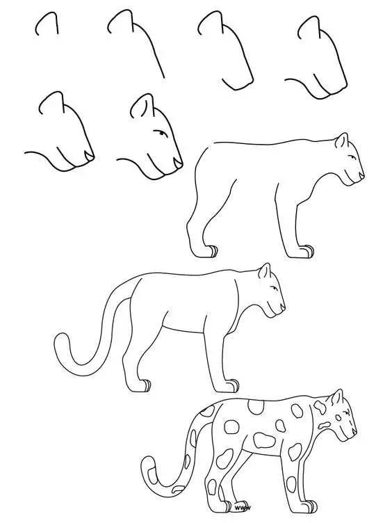 教你9种常见动物简笔画画法,简单易学,收藏