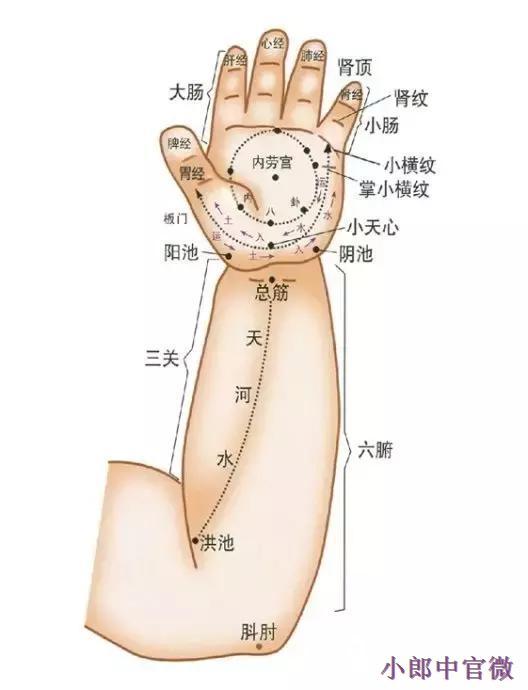 五经者,五指头之经络也,心经在将指,肝经在食指,脾经在大拇指,肺经在