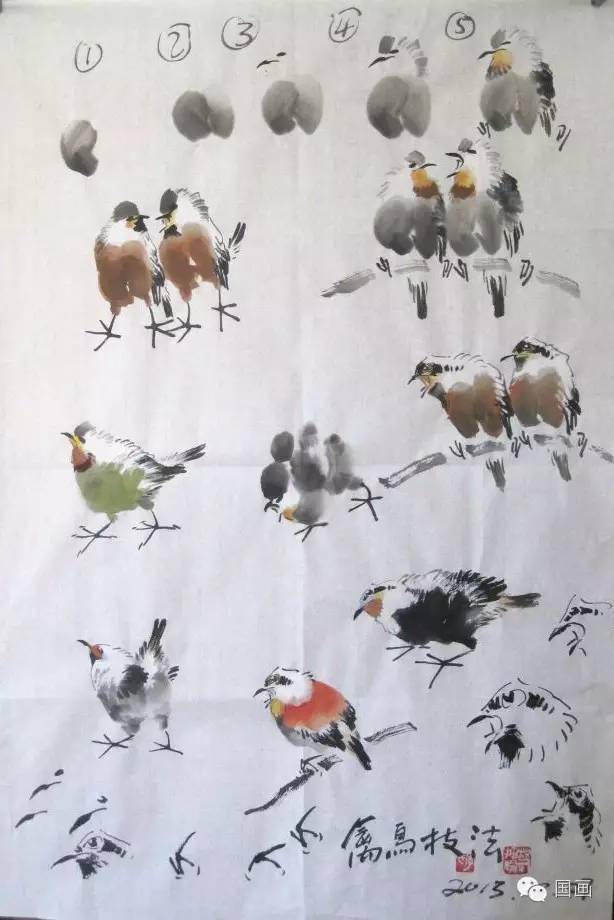国画鸟的画法一学就会