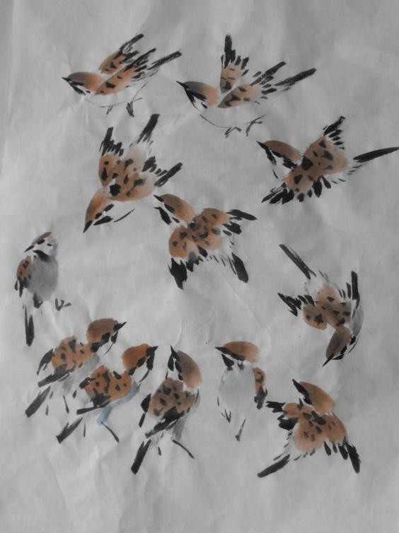 国画鸟的画法一学就会