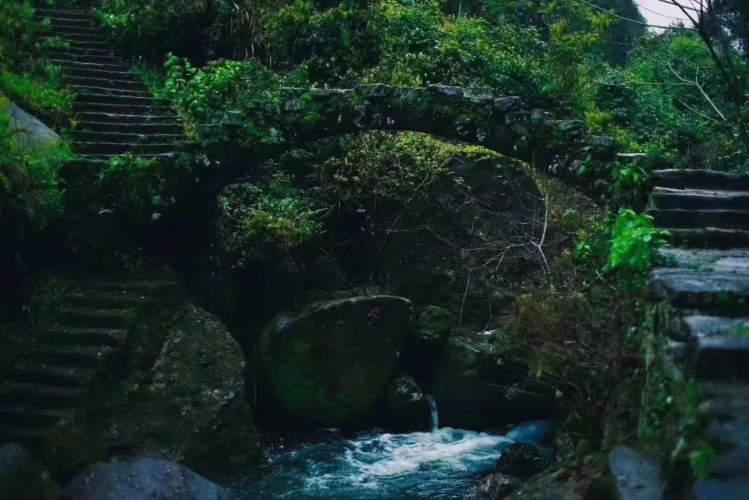 从燕子窠来聊一聊武夷山的坑涧窠岩峰茶园山场文化