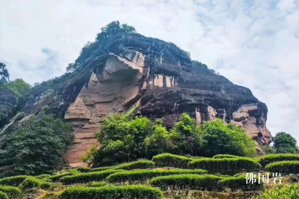 从燕子窠来聊一聊武夷山的坑涧窠岩峰茶园山场文化