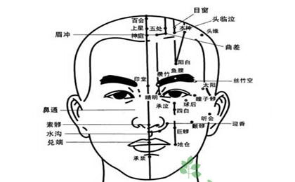 面部穴位图解大全