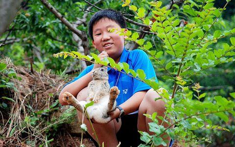 冬天抓兔子技巧夜猎野兔