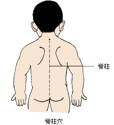 小儿推拿常用穴位图解及临床应用图腰背部