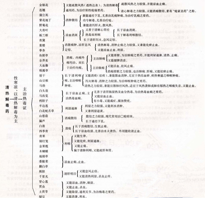 《中药学》记忆导图——北京中医药大学钟教授总结