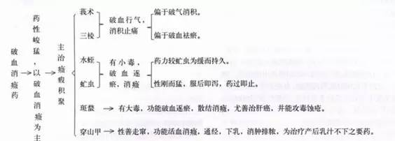 《中药学》记忆导图——北京中医药大学钟教授总结