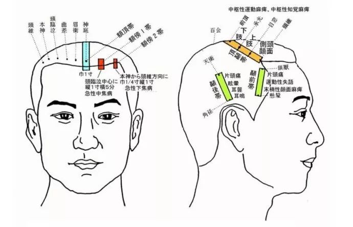 人体全息图哪里不适按哪里留着备用