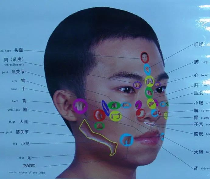 人体全息图哪里不适按哪里留着备用