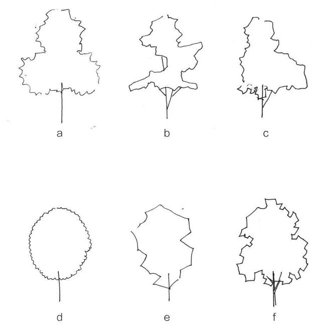 零基础钢笔画教程分步骤讲解树的基本结构和画法简单易学