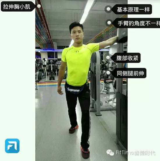 3.胸小肌