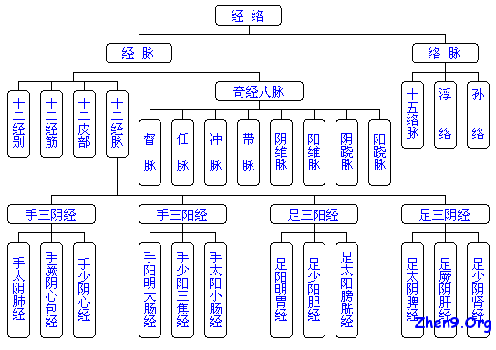 人体经络走向图