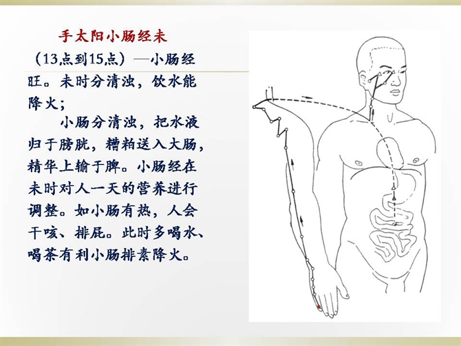人体经络走向图