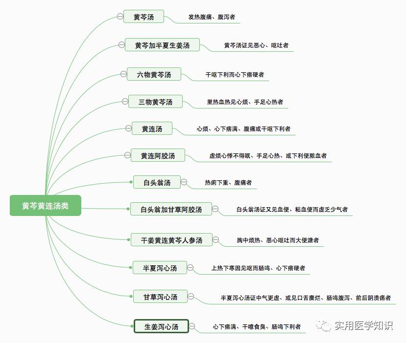 伤寒论类方思维导图版