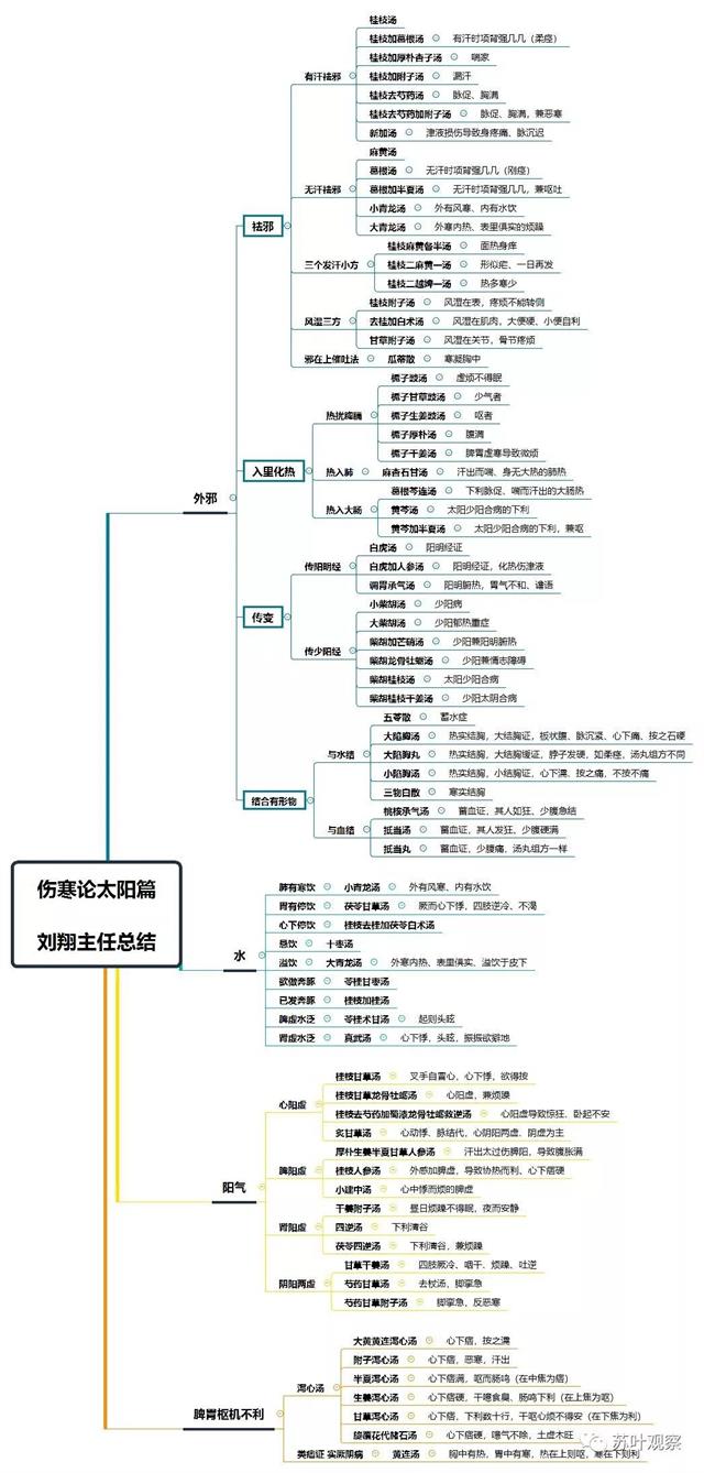 伤寒论太阳篇思维导图