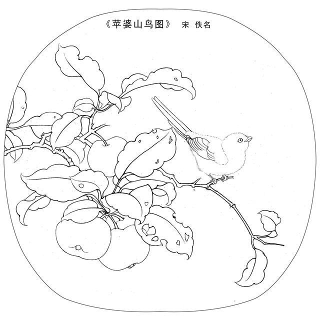 50张花卉高清线稿,适合临摹学习,喜欢白描和黑白插画的收藏