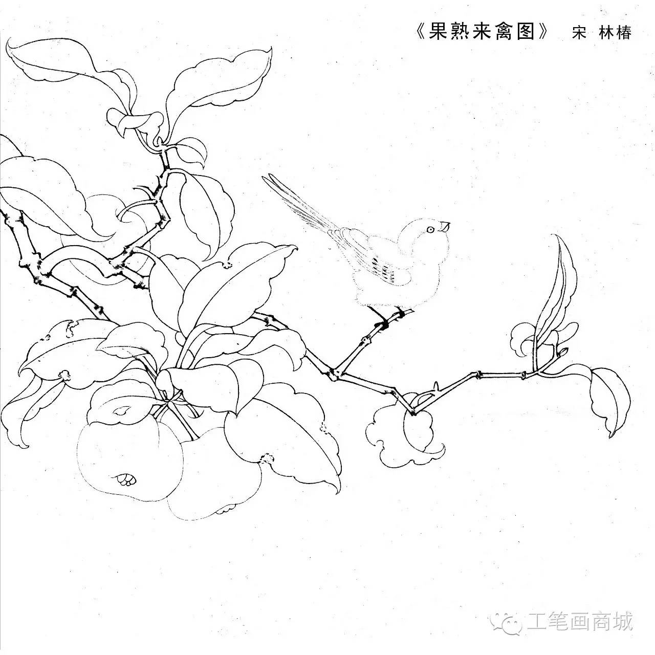 宋人小品白描稿40张