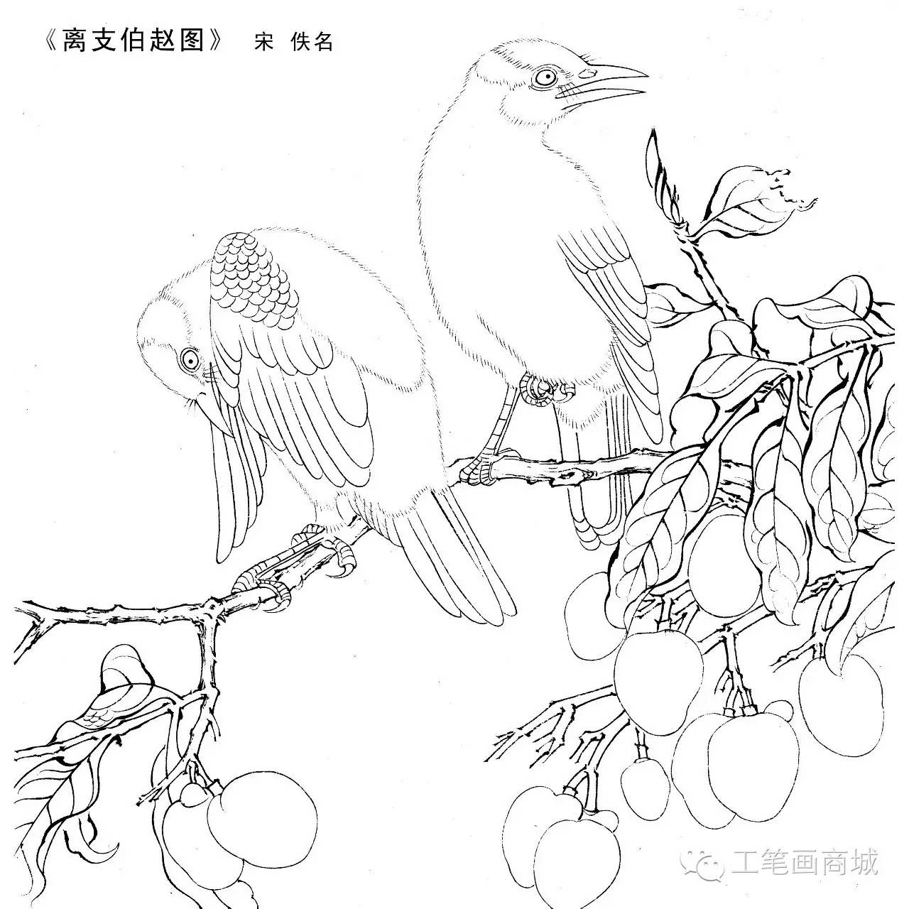 宋人小品白描稿40张