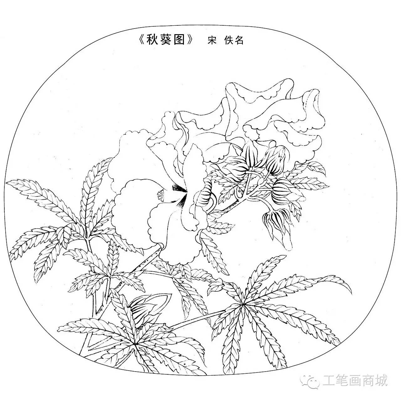宋人小品白描稿40张