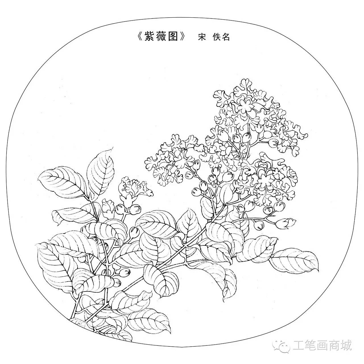 宋人小品白描稿40张