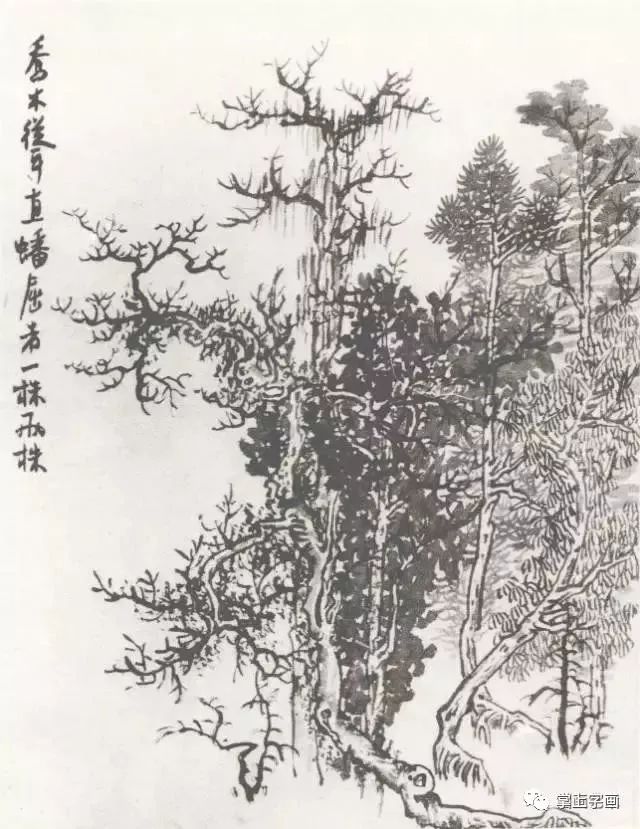 山水学习参考秋园教学画稿