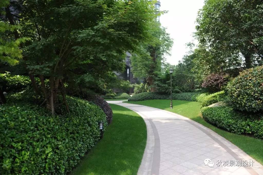 高bigger的植物配置实景图