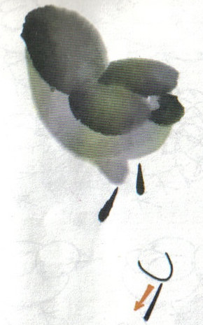 引用国画课堂小鸡的画法及姿态