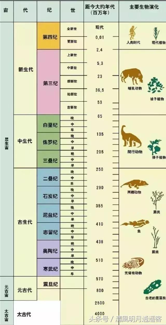 新生代又分为:古近纪,新近纪,第四纪.