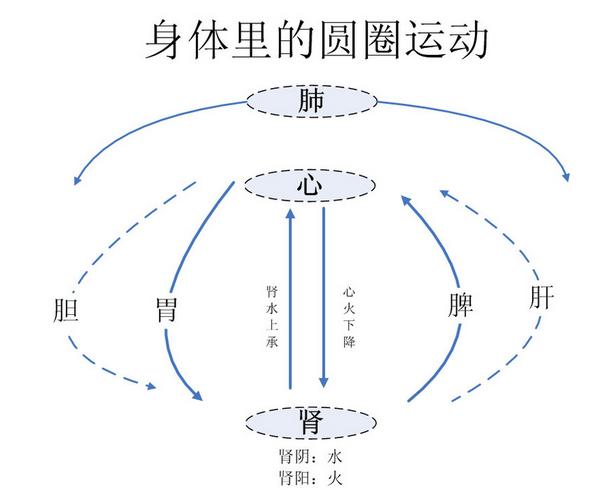 转载黄元御的圆圈论中各脏腑升降不力的症状