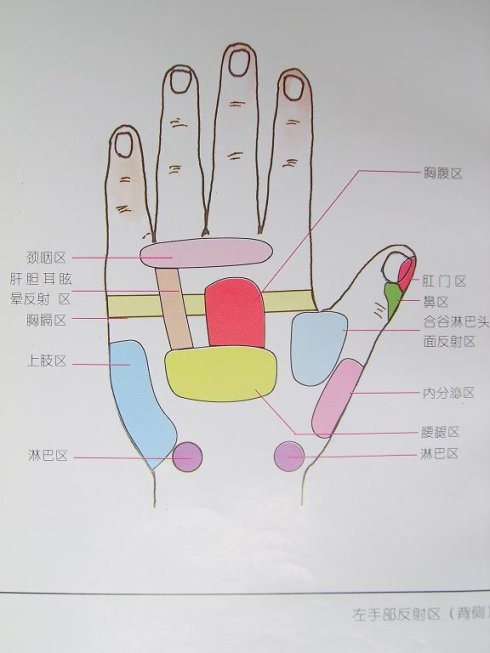 手部反射区自我按摩保健操风雨同舟