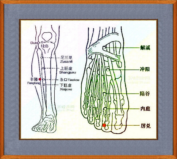 经络养生—打通胃经 好网角收藏夹