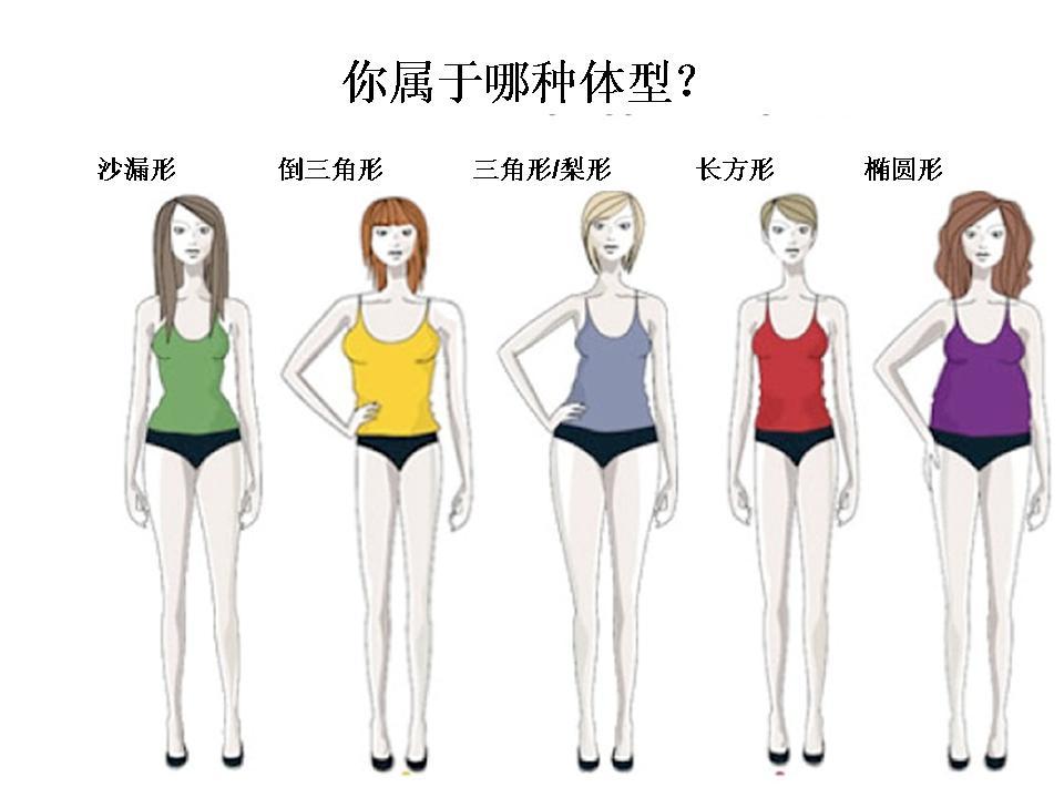 倒三角形:肩膀比腰部和臀部宽(备注:即肩最宽)